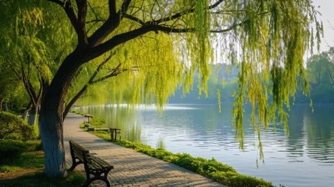 杭州三日游旅游攻略詳解及推薦(杭州旅游攻略三日游)