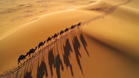 八年自駕游遍中國：縱橫新疆西藏，游歷東北四川，暢游青海云南貴州