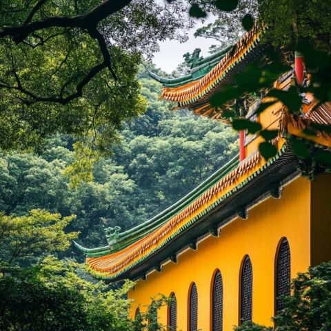 長(zhǎng)春出發(fā)到廈門旅游_6日跟團(tuán)游多少錢,行程路線推薦