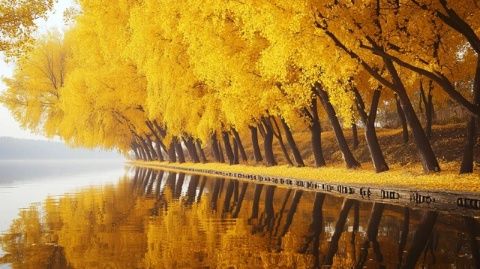 門頭溝區(qū)位于北京西部山區(qū)，是一個擁有豐富歷史文化和自然景觀的旅游目的地