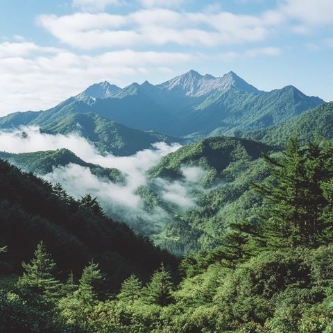 中國四大佛教名山之一：峨眉山，風(fēng)景秀麗值得一探究竟！