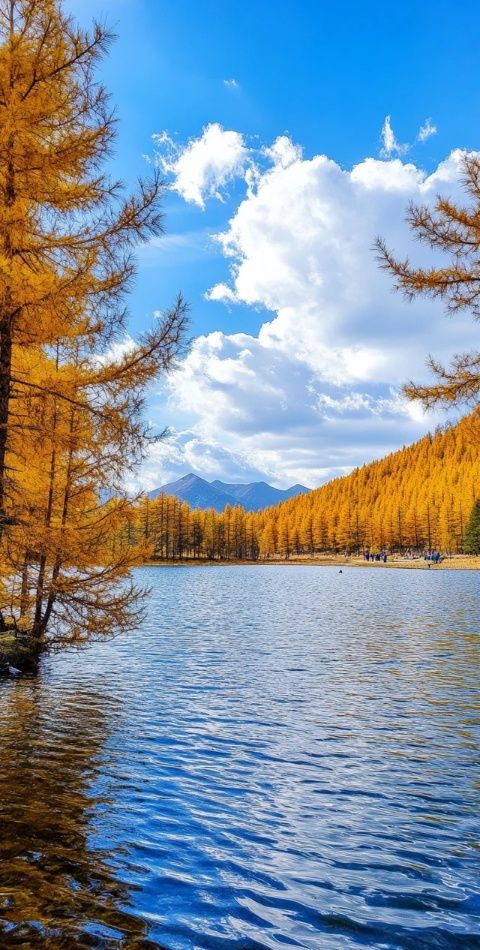 四川十大必游景區(qū)攻略：探索魅力四川美景