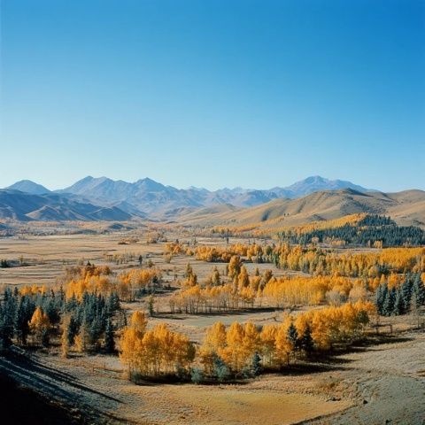 伊犁自駕游路線，10天時(shí)間玩轉(zhuǎn)新疆絕美秘境！