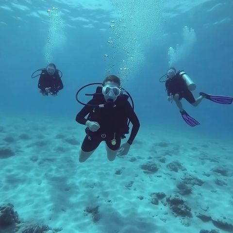 普吉島潛水寶典：探索深海奇跡與頂級潛水點推薦