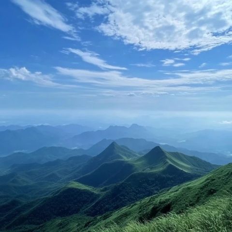 欒川景點(diǎn)大全:欒川特色風(fēng)光與旅行攻略