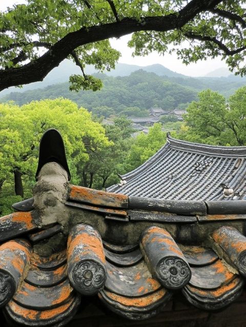 沙灣古鎮(zhèn)旅游攻略！必去網紅點+交通住宿全攻略！