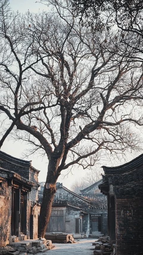 深度游梅河口冬季之旅：必知攻略與體驗(yàn)指南