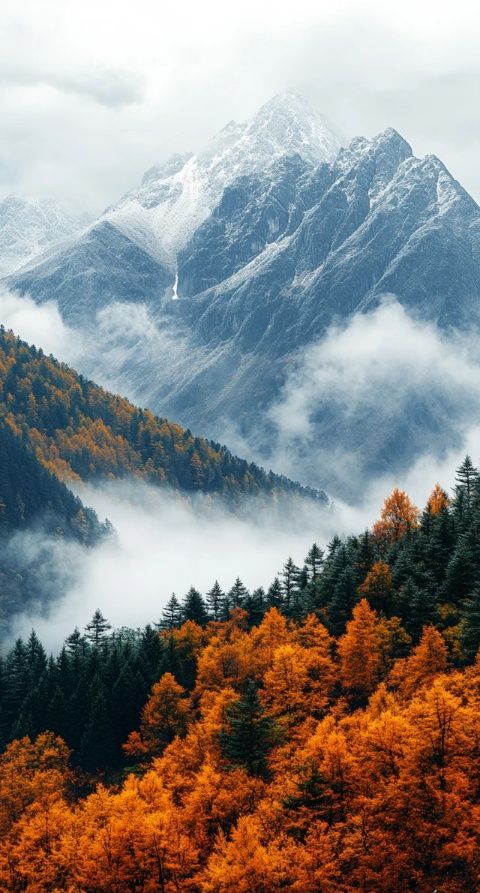 四川稻城亞丁旅游攻略：行前準備、交通路線與拍攝指南