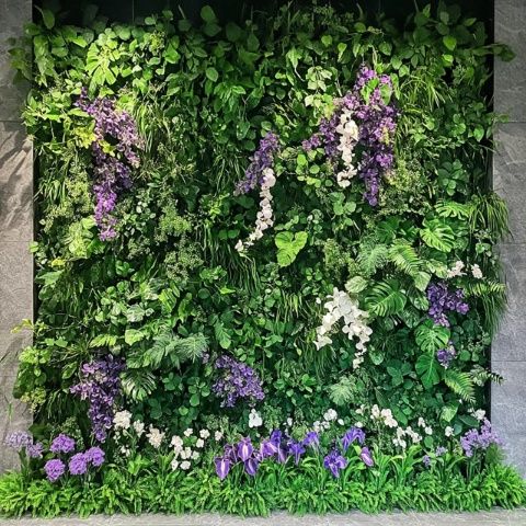 揭秘安徽旅游購物團(tuán)中的鐵皮石斛種植基地：一次別開生面的銷售體驗