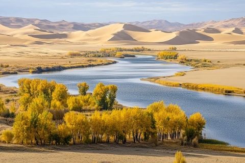 
11-12月新疆之旅精選：性價比高，不容錯過的美景與體驗