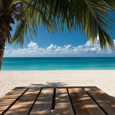 大巴哈馬島是巴哈馬群島中最大的島嶼，也是世界上最著名的海濱旅游勝地之一