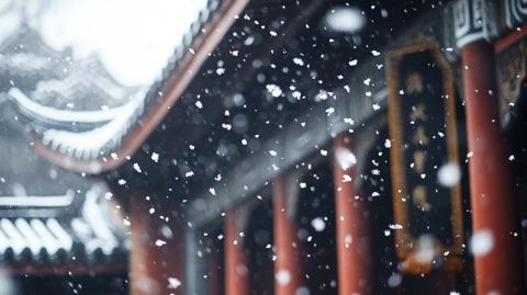 成都西嶺雪山旅行Vlog攻略：小杭純手打文字分享