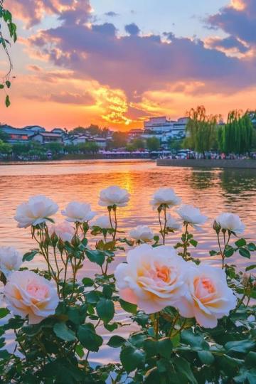 春節(jié)廣西游：南寧+崇左+防城港7日自駕路線，精華景點全囊括