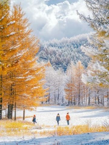 根河旅游攻略：大興安嶺原始森林探秘與狩獵部落體驗