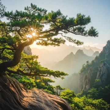 黃山風景區(qū)：安徽著名的旅游勝地