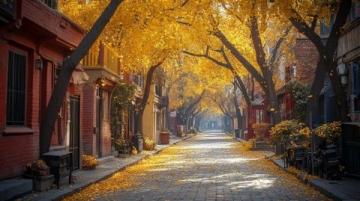 北京延慶旅游攻略：四季皆景的美麗風(fēng)景