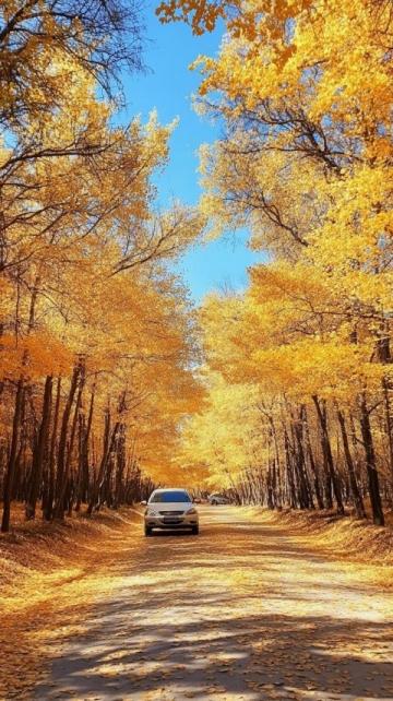 北京延慶旅游攻略：四季皆景的美麗風(fēng)景