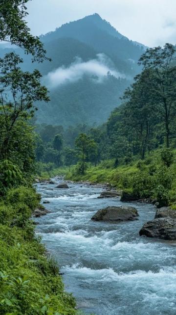 探秘江西廣信：望仙谷的靜謐山谷與激流探尋