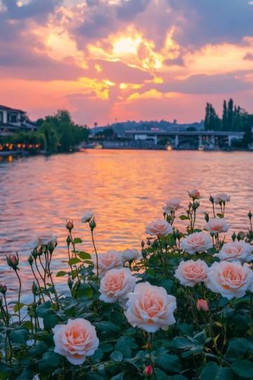 21天江蘇浙江之旅：踏春賞花，穿越江南水鄉(xiāng)美景