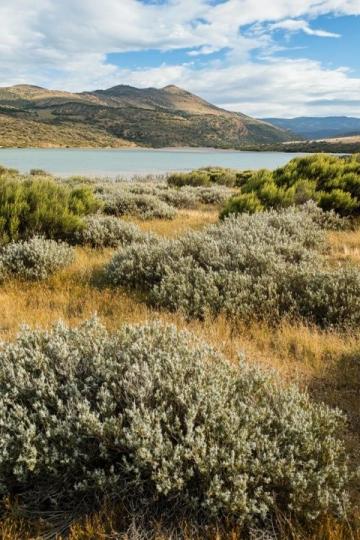 澳大利亞袋鼠島旅行全記錄絕美海景不能錯過！