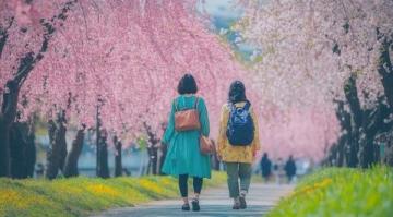 捕捉春日足跡：2025年春季旅行指南，全年浪漫盡收眼底！