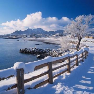 3月赴濟(jì)州島旅行如何？韓國春季游指南