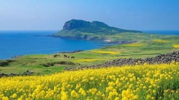 勉縣油菜花海自駕之旅——暢享春日自駕賞花路線指南