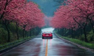 五一自駕游湖北，精彩攻略提前看