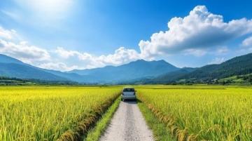 5折自駕之旅：春游季必玩的3條自駕路線，僅需500元