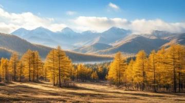 延安至黃龍國(guó)家森林公園旅游全攻略：美景美食，一站式游覽指南