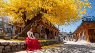 云南大理：風(fēng)花雪月的浪漫旅行地推薦