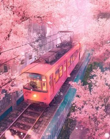 萬萬沒想到，一檔老年旅行綜藝，竟然看得我比追劇還上頭！一路繁花這節(jié)目，真·寶