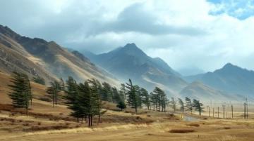 云南之旅自由行的心得體會