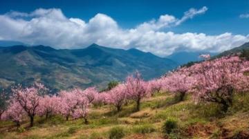 潮汕四日三晚深度游之旅