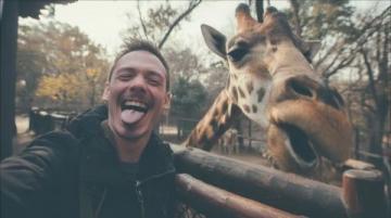 秦皇島野生動(dòng)物園自駕游攻略