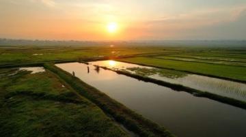 林芝市深度旅游攻略 林芝一日旅游攻略
