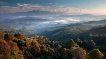 西雙版納陽(yáng)光之旅：兩周體驗(yàn)的溫暖記憶與旅行指南