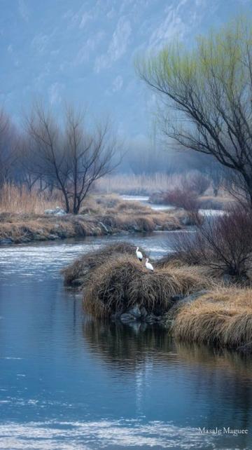 野鴨湖國(guó)家濕地公園游玩攻略(以下是一份墊江迎風(fēng)湖國(guó)家濕地公園的游玩攻略)