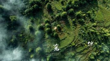 以下是一份西雙版納的旅游攻略