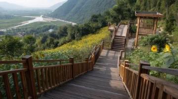 千島湖旅游攻略：七種玩法暢游中國改名最成功的景區(qū)