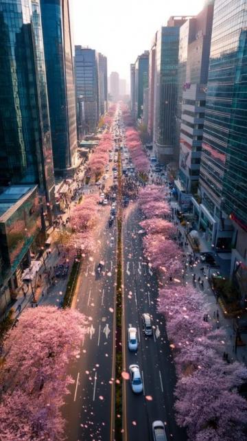 五一旅游攻略：避開(kāi)旅行陷阱，暢享歡樂(lè)假期