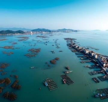 最新三亞蜈支洲島旅游攻略全解指南