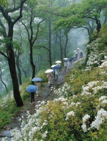 三天兩夜暢游廣東云?。喝芏础厝c禪意文化探秘之旅