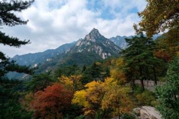 徐州最全旅游攻略:秋季精選景點