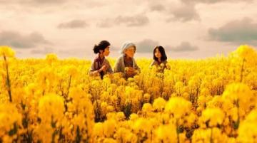 旅行興化賞花春日賞花，江蘇興化是繞不開(kāi)的好去處