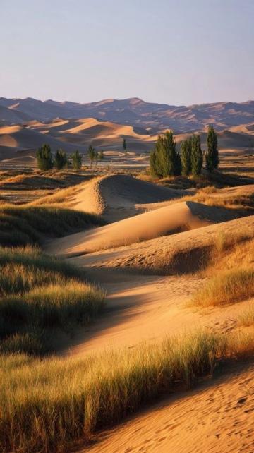 從鄭州自駕游呼和浩特長假攻略：沙漠與草原的完美結合