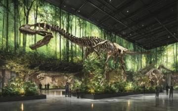 探索自然奇觀：上海自然博物館精華體驗(yàn)指南