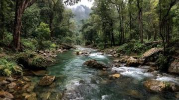 西雙版納旅游攻略：探索熱帶雨林與傣族文化完美結(jié)合