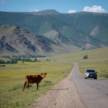 318川藏線自駕攻略：絕美風(fēng)景與特色美食雙重體驗(yàn)