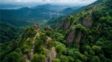 蘇州虎丘山風(fēng)景名勝區(qū)游記：門票60元，春節(jié)半價(jià)優(yōu)惠